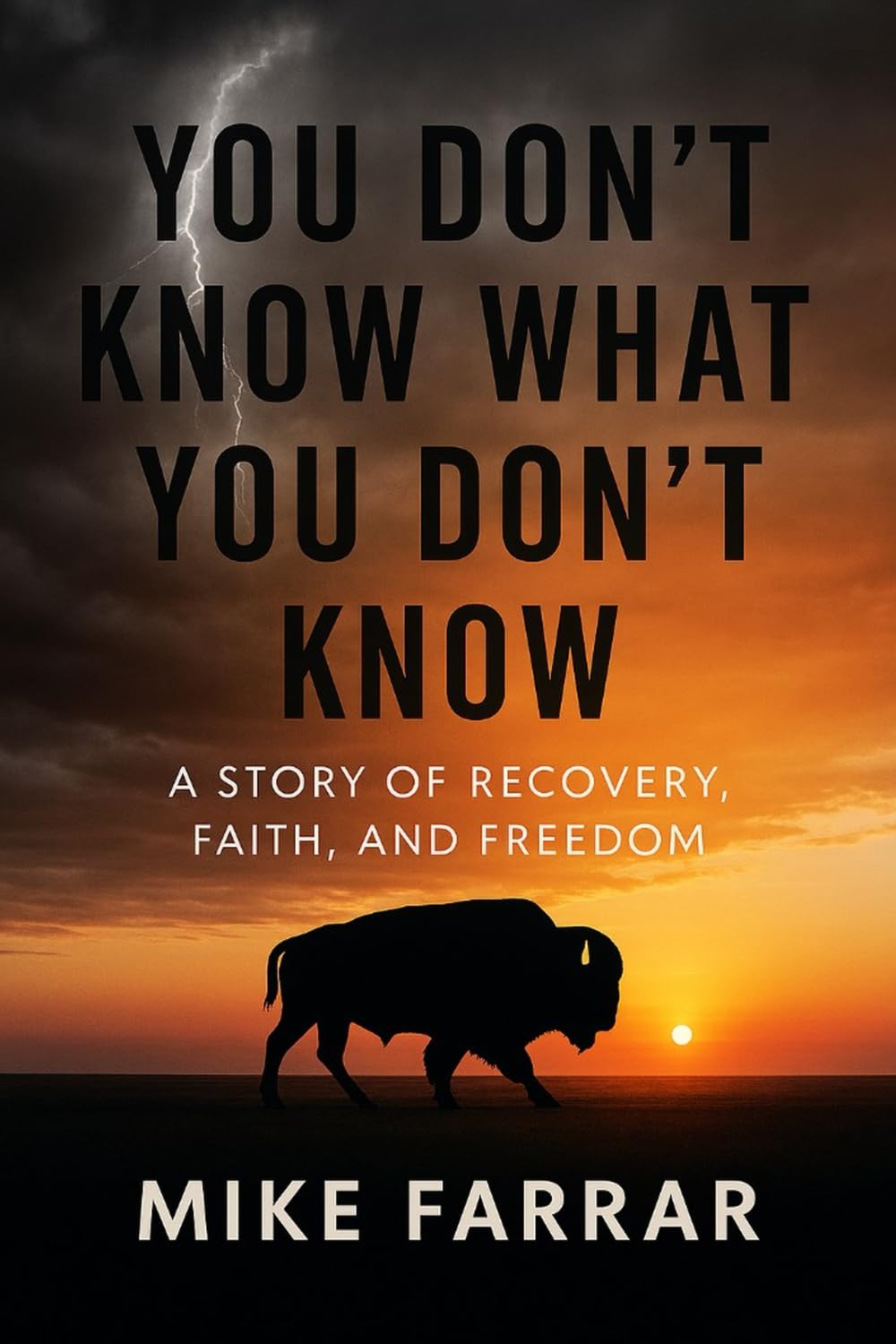 You Don’t Know What You Don’t Know: A Story of Recovery, Faith, and Freedom
