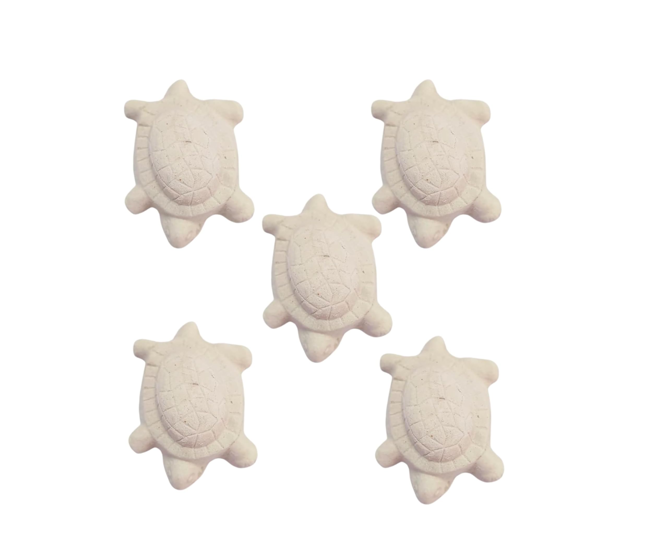 Foodie Puppies Turtle Conditioner (Pack of 5) | Enriched with Calcium & Vitamin D3 | Prevent Bacteria Infection and Shell Softening | Suitable for Turtles and All Other Aquatic Reptiles (B07L26T19P) Amazon Price History, Amazon Price Tracker