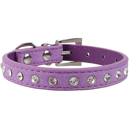 blind dog collar bumper