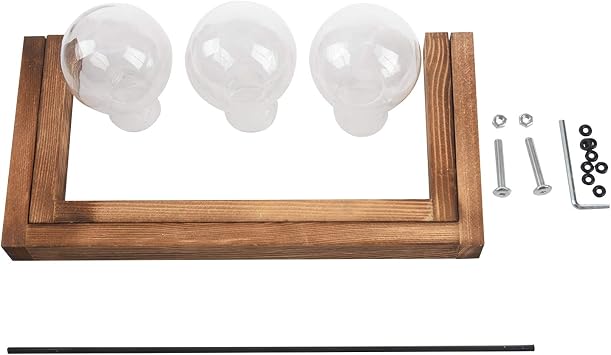 Terrarium with Stand Glass Vase Holder Decoration,Scindapsus 3 Terrariums