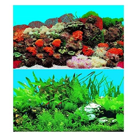 Hidom Double-Sided Aquarium Background Poster Cover