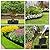 30Ft Garden Edging Border Landscape Edging Lawn Garden Fence Edgings 30Pcs Landscape Edging Border with 30Pcs Stakes Kits Edging for Landscaping Decorative Garden Flower Bed Yard,Lawn Edging (Black)