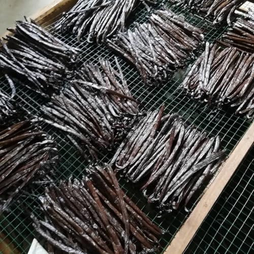 20 vainas de vainilla Bourbon de Madagascar (12-14 cm) – Calidad Gourmet | Vainas enteras naturales ricas en aroma y sabor intenso para repostería y cocina