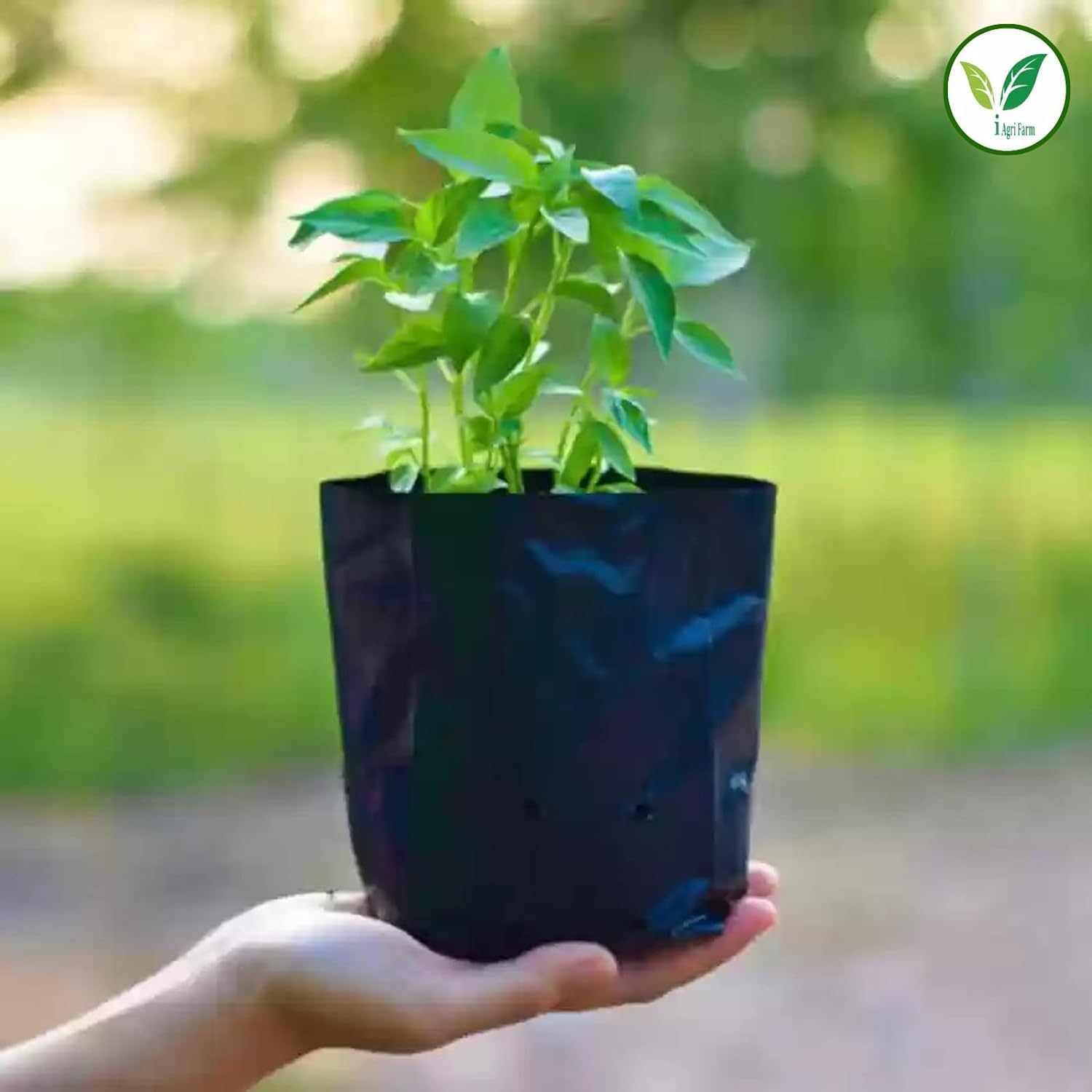 UV Protected Grow Bags - 10 Pack -6