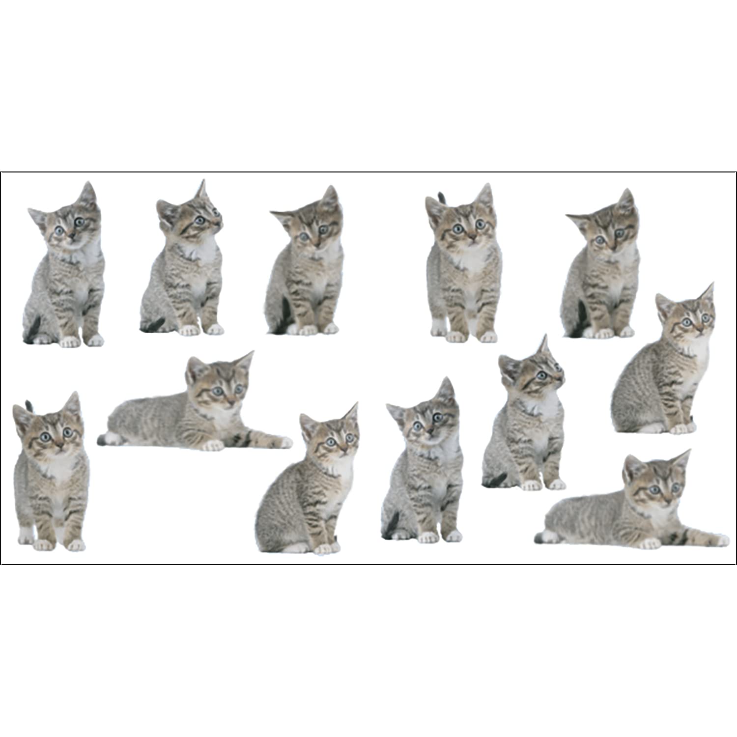 PLAGE 152015 Adhesivos de decoración -Gatos, 2 Hojas, 11 x 10,5 cm