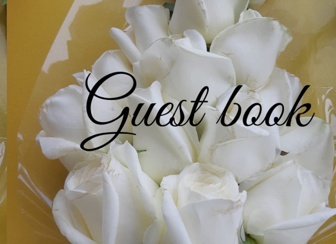 Guest book: Visitors come to our house - sign in guest book(100 pages)