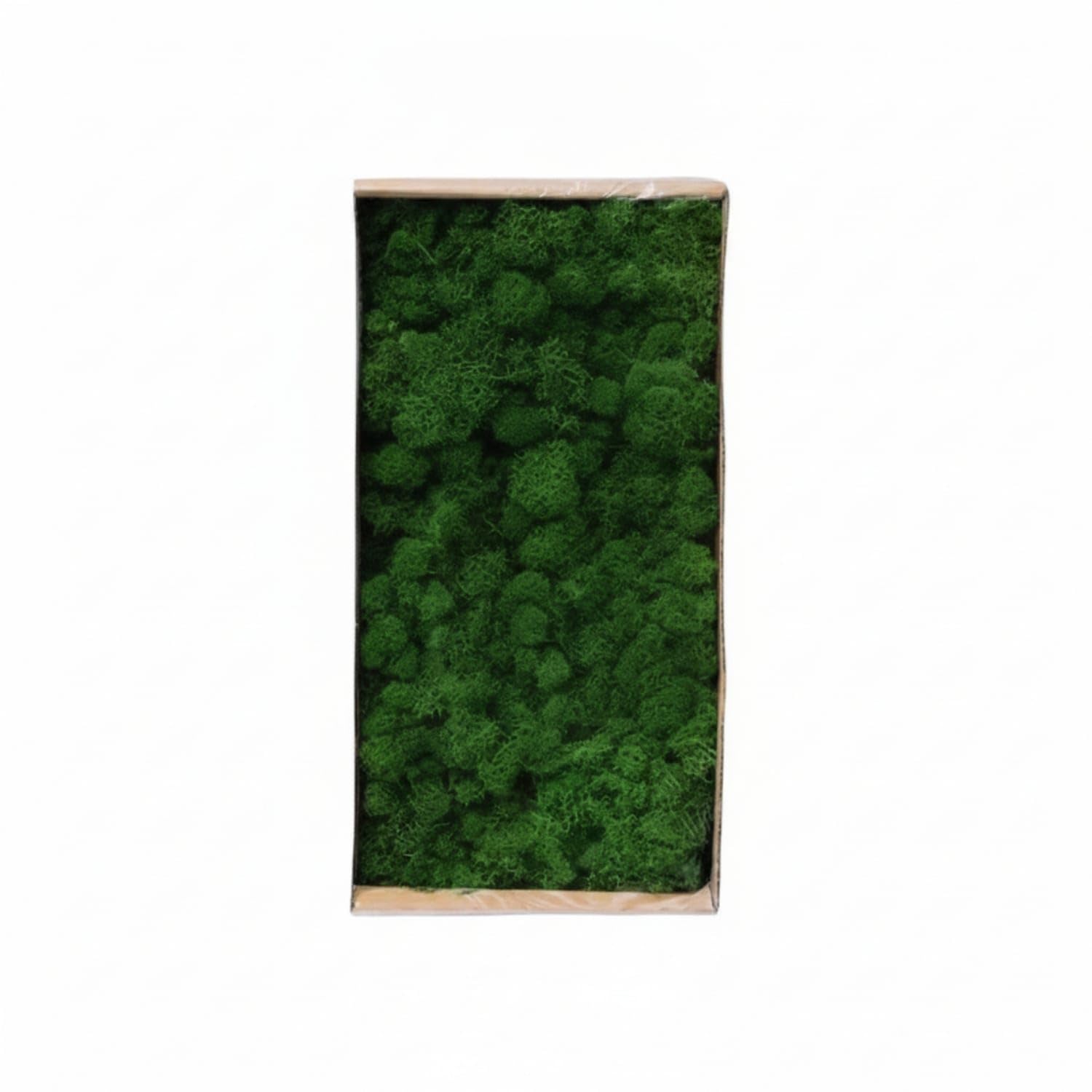 Natural-Looking Preserved Foliage Dense Decorative Foliage Easy to Use Plants Low-Maintenance for Crafters, Florists, Home Decor, Terrariums, Model Landscapes, Reindeer Moss 1 Box-image-28