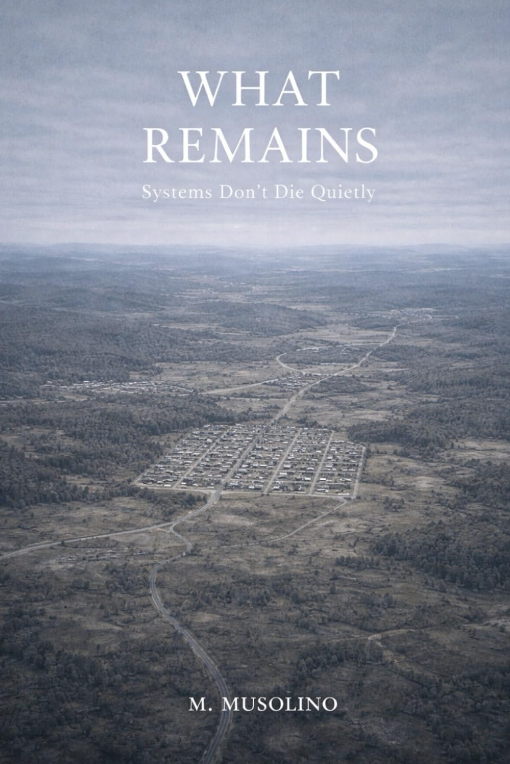 What Remains: Systems Don’t Die Quietly (THE BELONG SERIES)