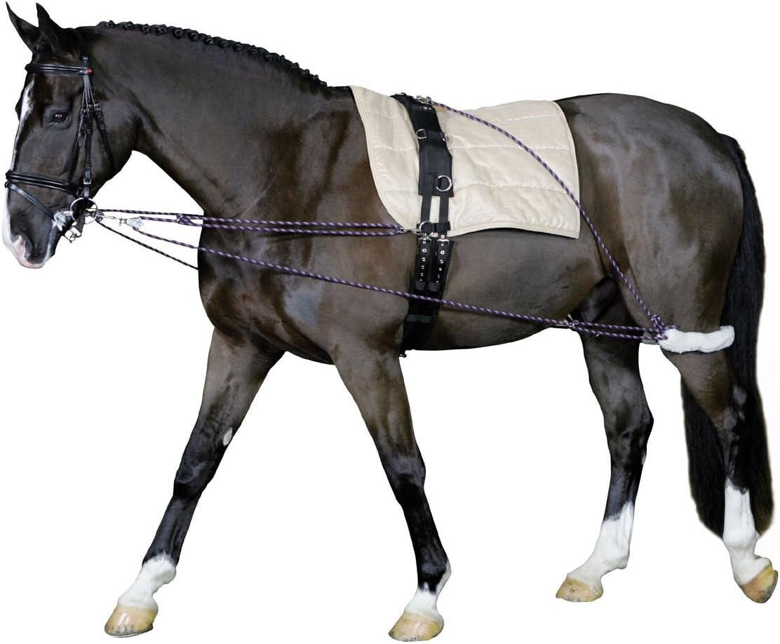 Lunging aid, groundwork training lunging system, warm blood lunging and training system, lunging auxiliary reins