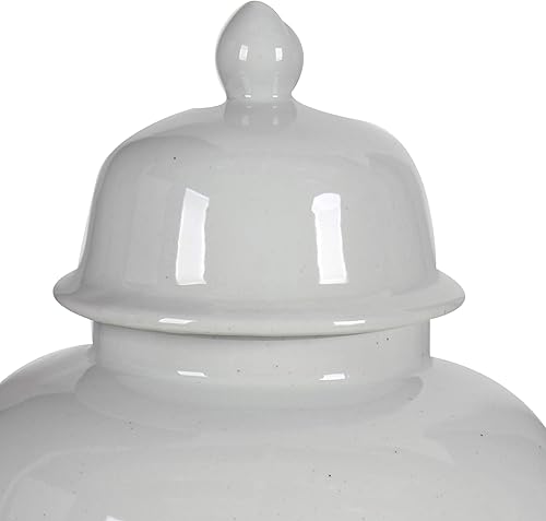 Miniatura 2 de Benjara, White Benzara BM165658 - Tarro de jengibre de cerámica con tapa