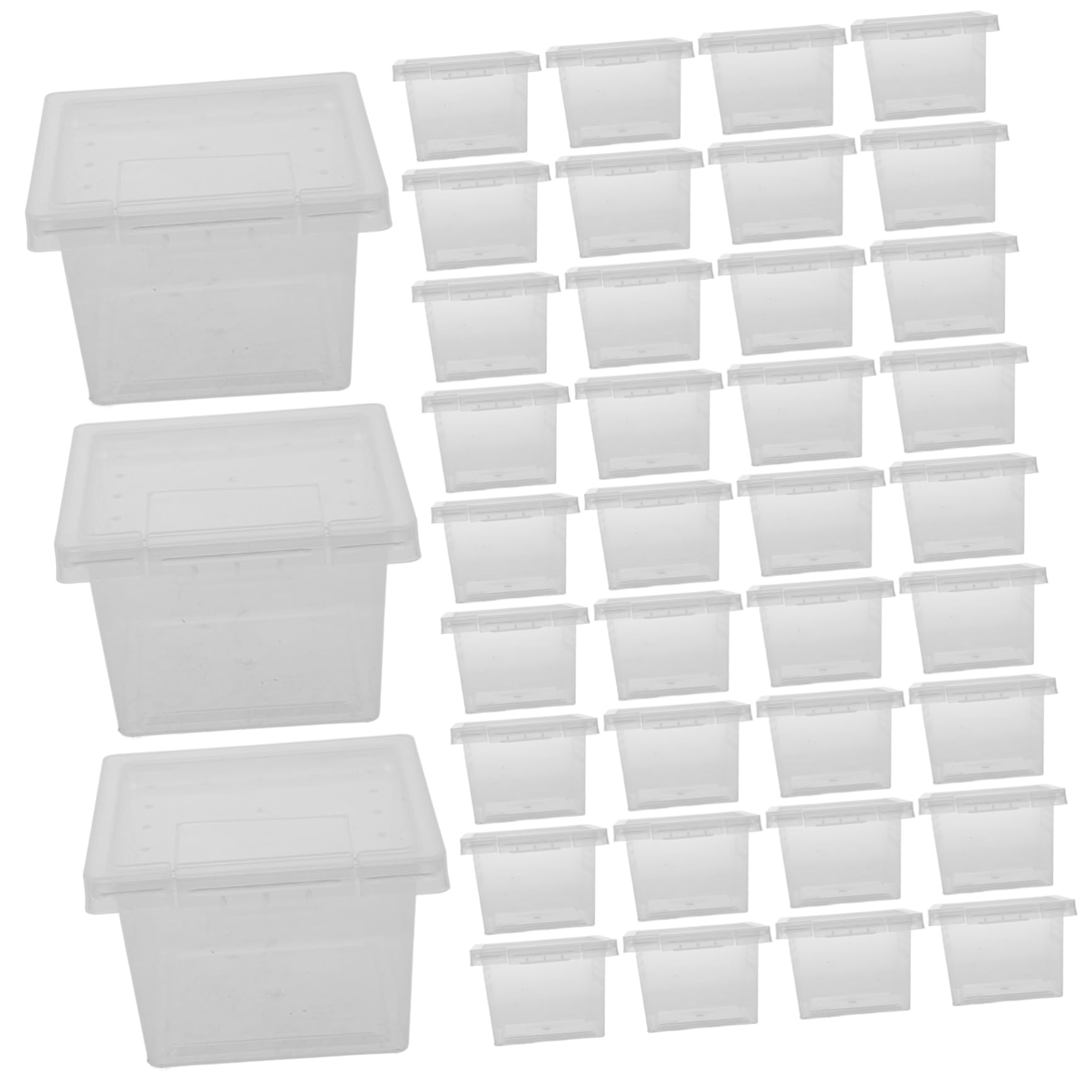BESPORTBLE Caja de Cría Transparente para Reptiles 100 Piezas PP | Contenedor Compacto, Lote de 100 Unidades, , para Terrario y Accesorios