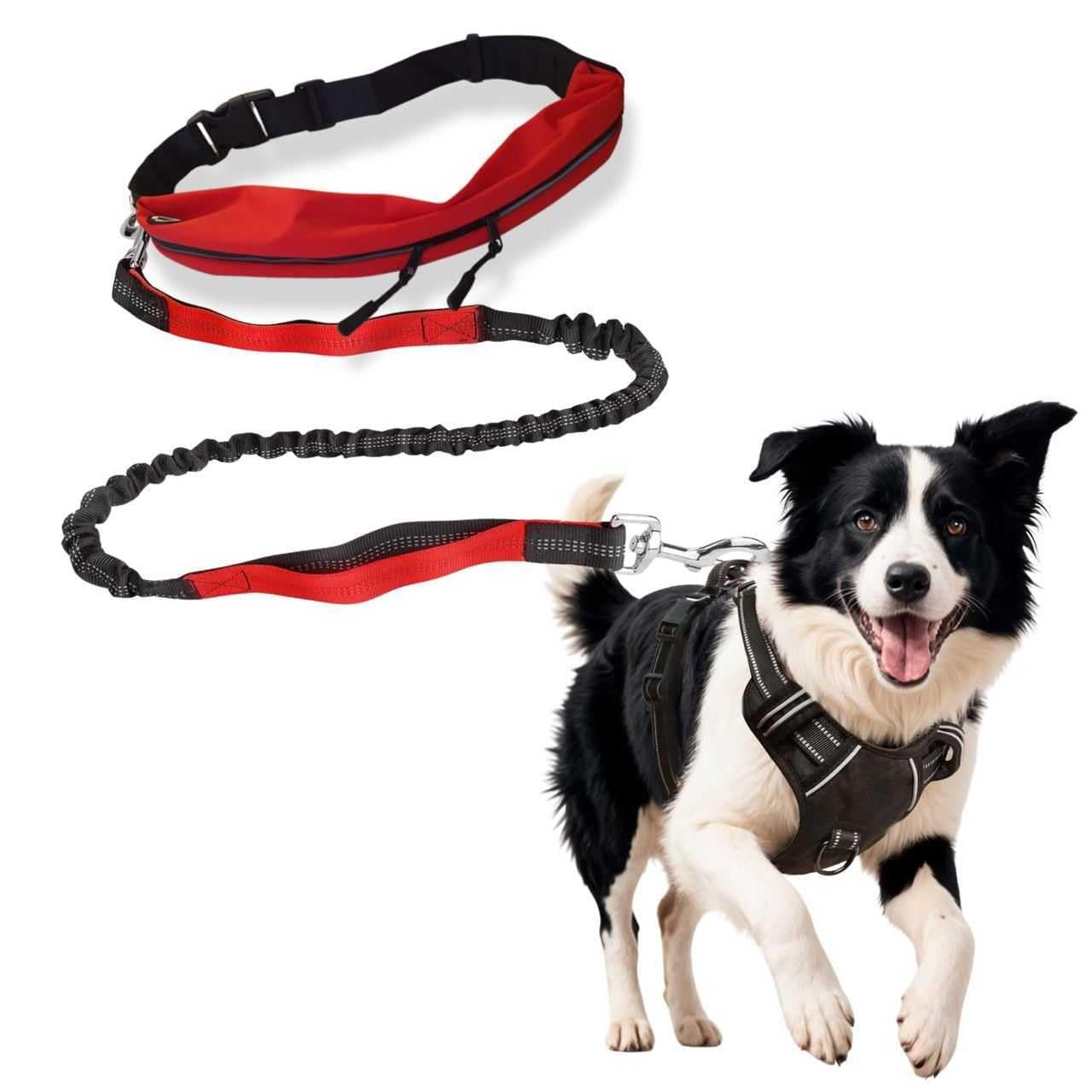 Correa Perro Manos Libres, Arnes Antitirones Perro Mediano Grande, Correa Perro Cintura Y Arnés Perro Mediano Grande, Correa Running Perro Y Arnés Antitirones para Perros, Correa Canicross Y Pechera