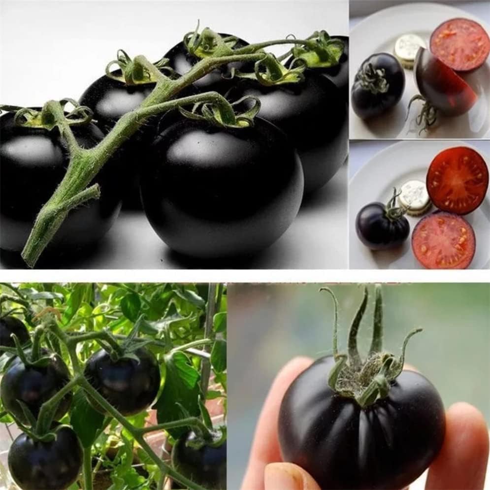 Miniatura 2 de Más de 600 semillas de tomate cereza negra para plantar