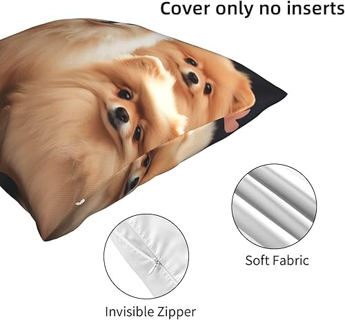 Miniatura 6 de GFLFMXZW Fundas de almohada con estampado de cachorros de Pomeranians de 16 x 16 pulgadas, funda de cojín suave y acogedora funda de almohada