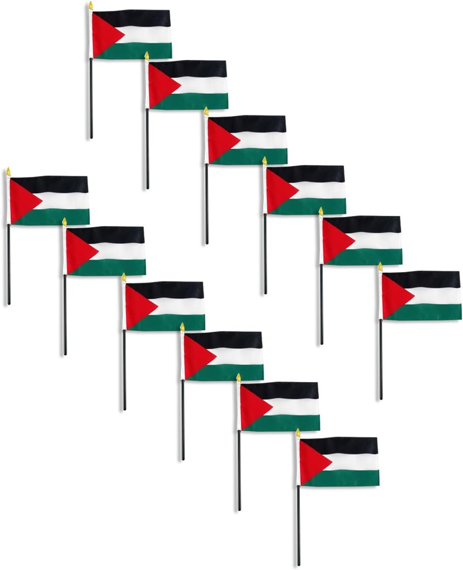 Palestine Flag 4 x 6 inch (12 PK)