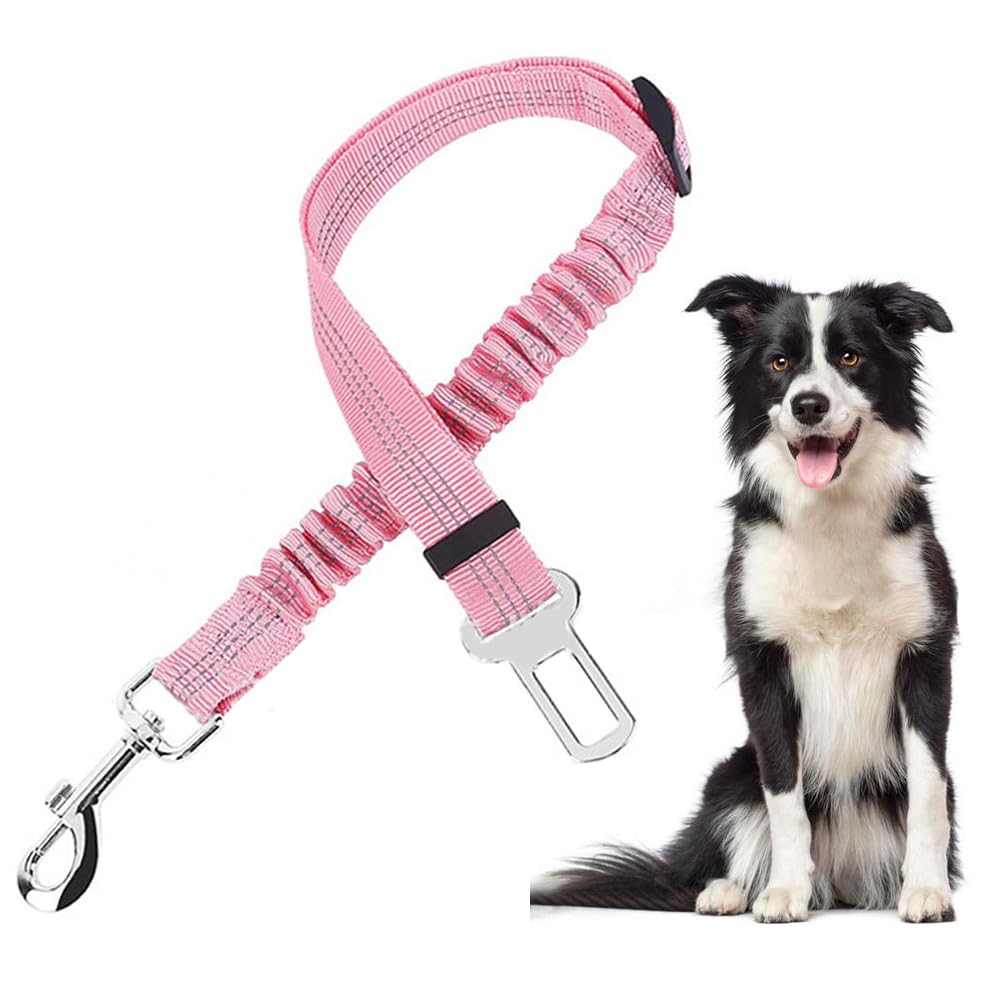 Laisse Élastique Réglable Ceinture Sécurité Voiture Chien Harnais Ajustable Protection Automobile Animaux Compagnie Nylon Résistant Boucle Robuste