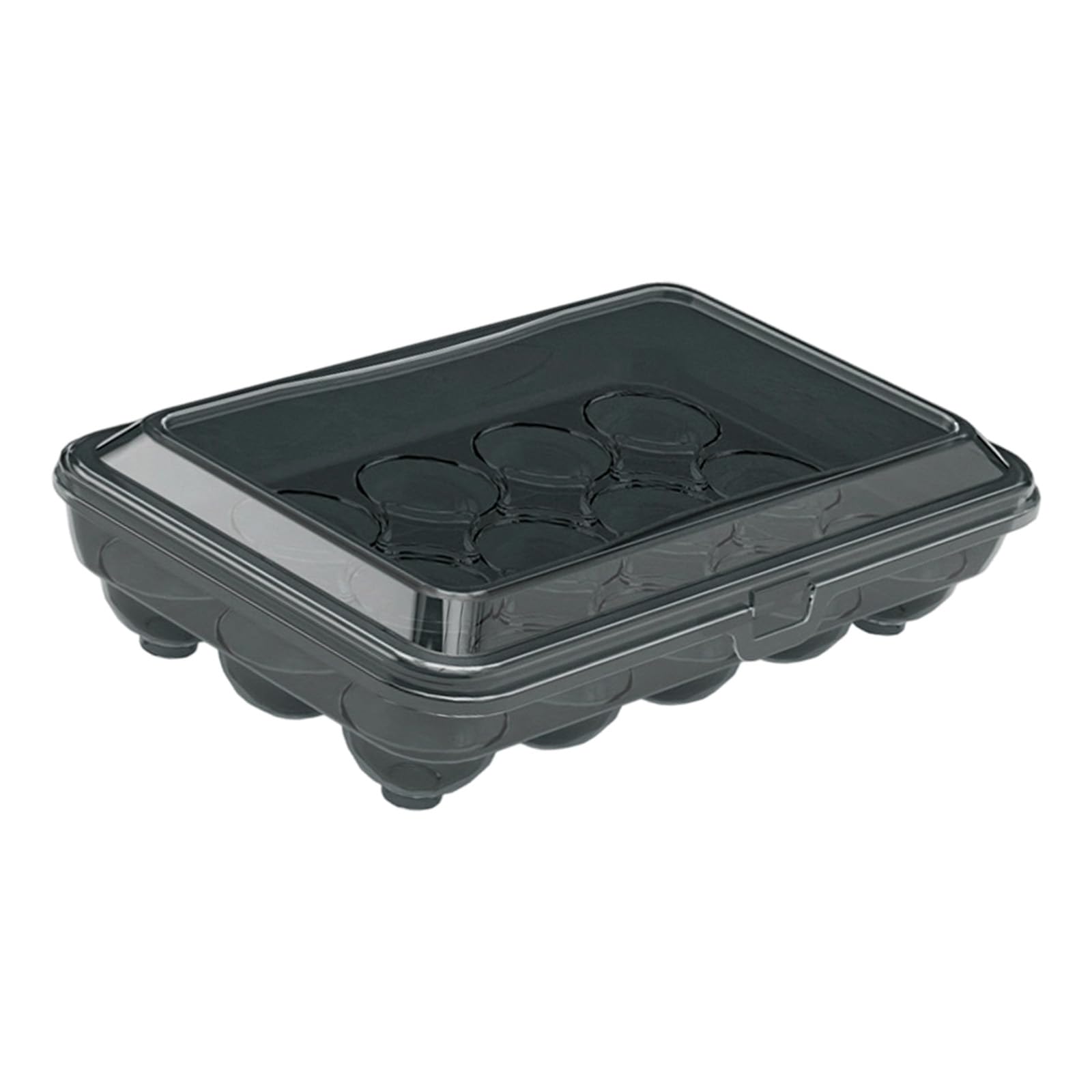 HENYGEN Portable Eggs Case with Dividers Refrigerator Storage Container with 10/15 Compartments Kitchen Tool Refrigerator Oocyte Planner