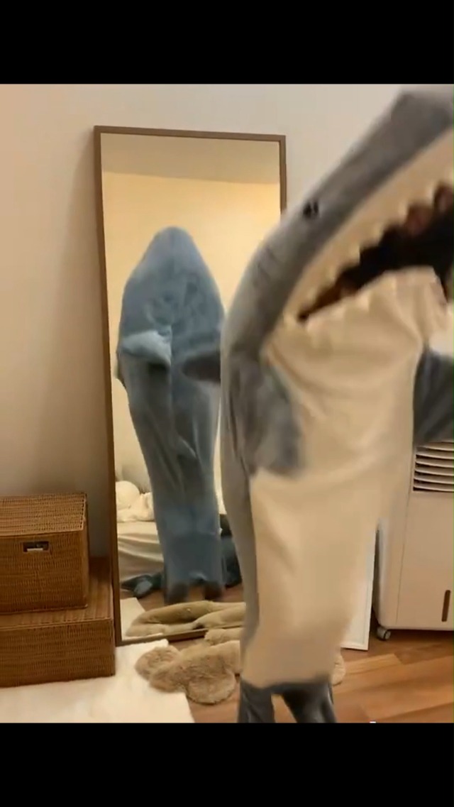 RIdelf Couverture de Requin à Capuche for Femmes, Kigurumi for Hommes, avec Manches, Couverture de Requin Portable, Pyjama Doux (Color : A, Size : 170X70cm RIdelf Couverture de Requin à Capuche for Femmes, Kigurumi for Hommes, avec Manches, Couverture de Requin Portable, Pyjama Doux (Color : A, Size : 170X70cm