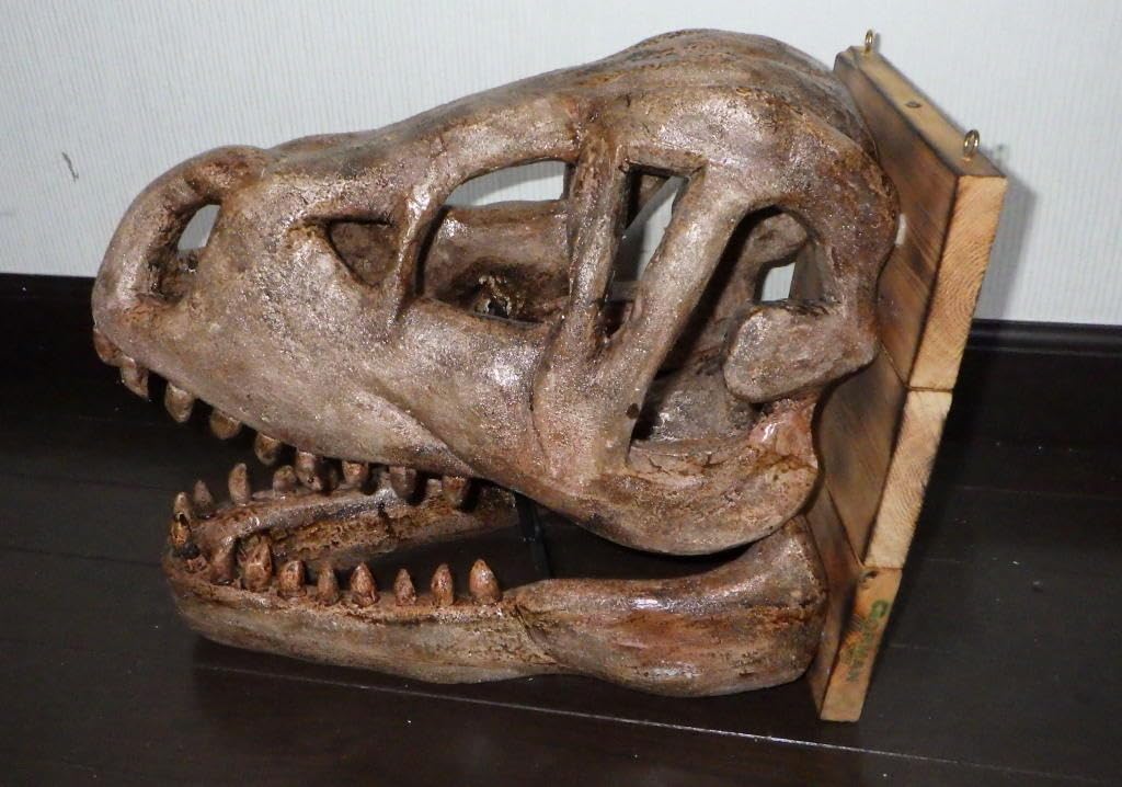 恐竜の頭部模型 Amazon.co.jp: ティラノサウルス T-REX 頭部化石模型 : おもちゃ