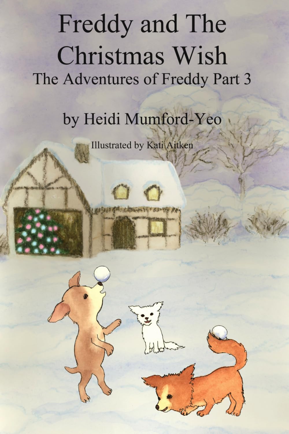 Freddy and The Christmas Wish: The Adventures of Freddy