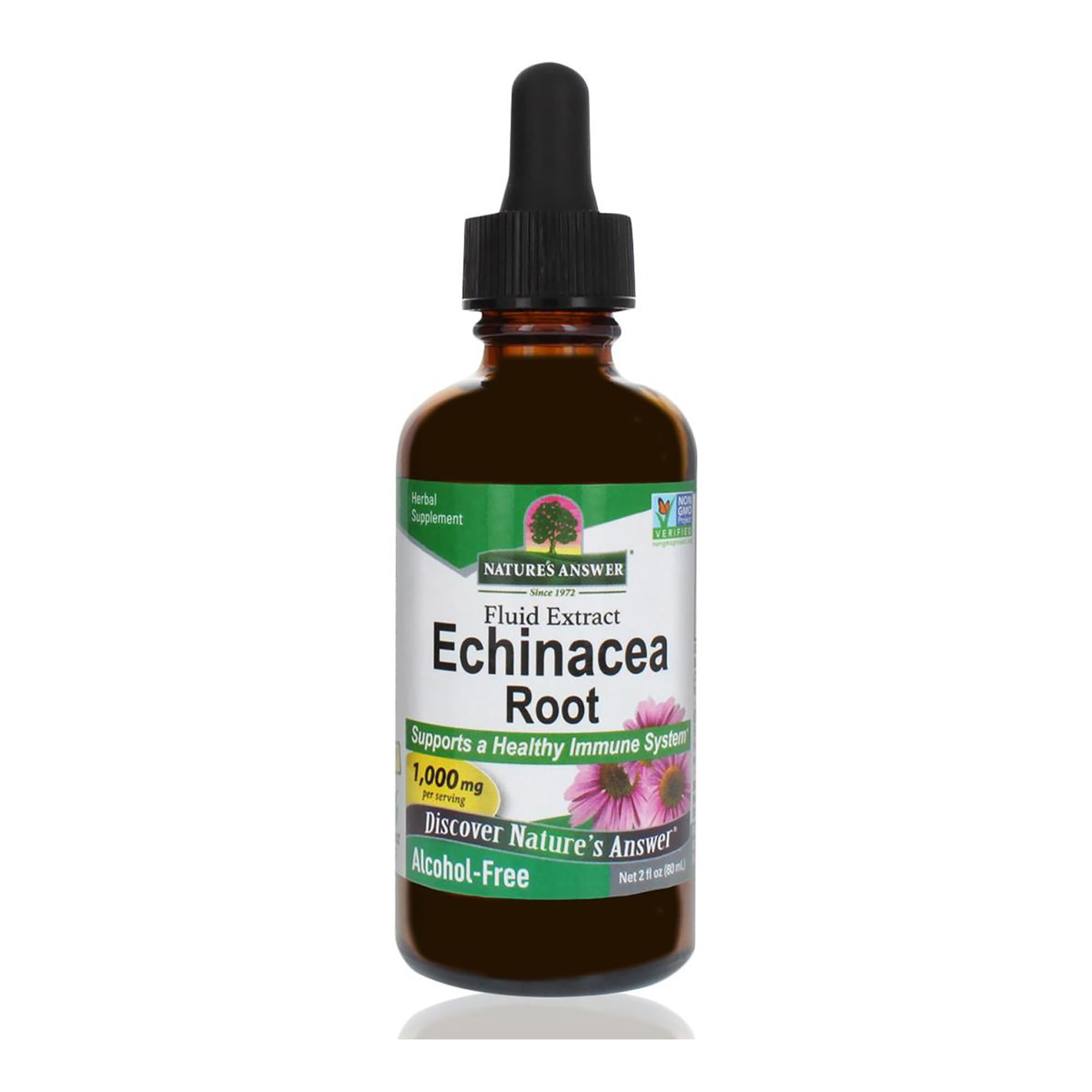 Nature's Answer Echinacea Alcohol Free - 2 fl oz