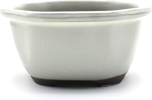 Bonsai - Olla de cerámica con forma de membrillo, Seto-Yaki Mokko (6.7in)