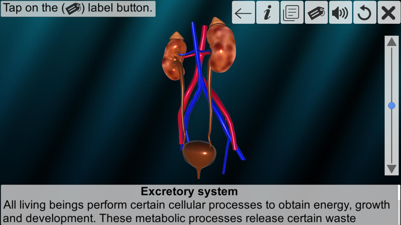 Incredible human body system - App on Amazon Appstore