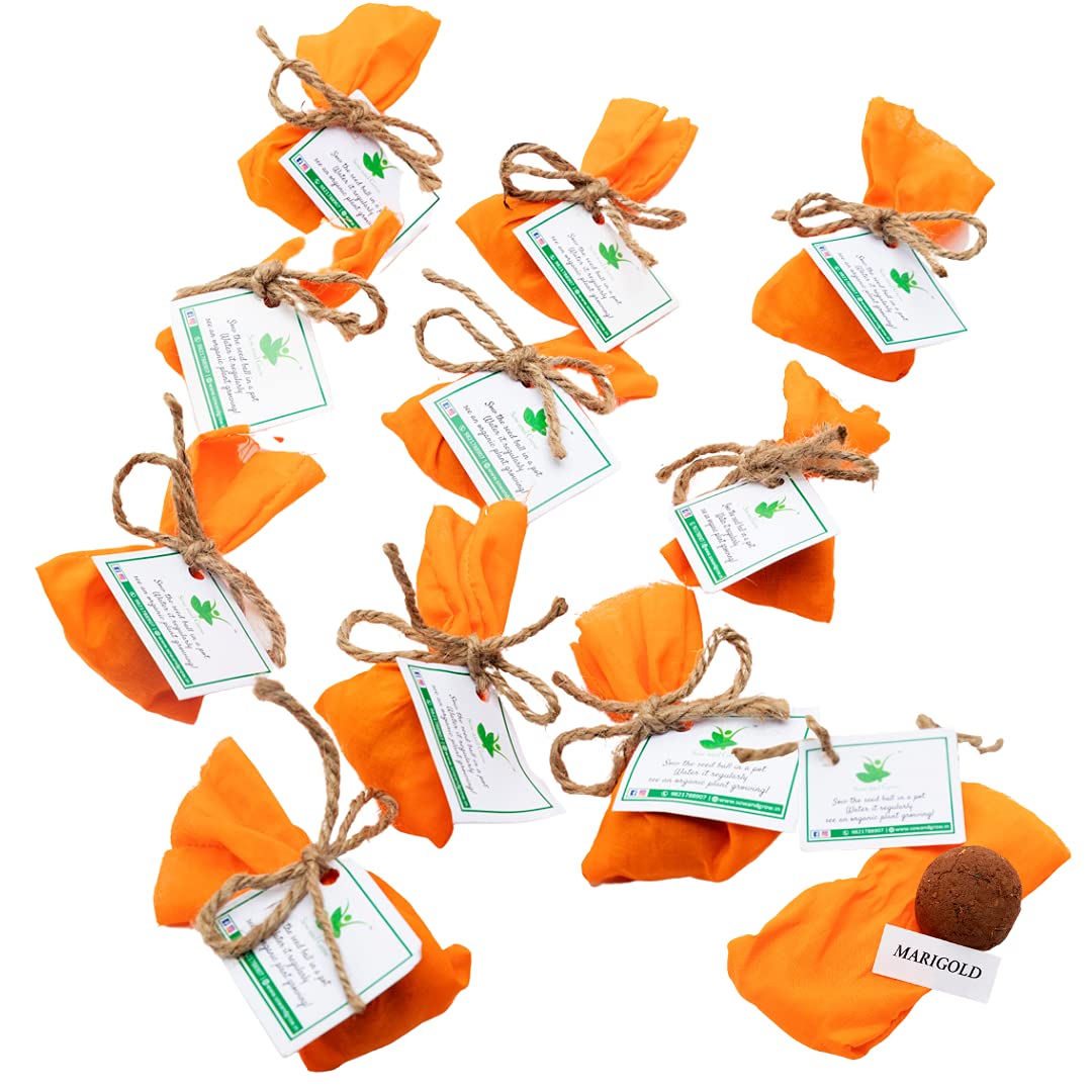 Sow and Grow Plantable Marigold Seed Balls | Pack of 10 | Eco-Friendly Beej Balls for Gardening & Gifting | Grow Your Own Flowers | Sustainable Return Gift Idea