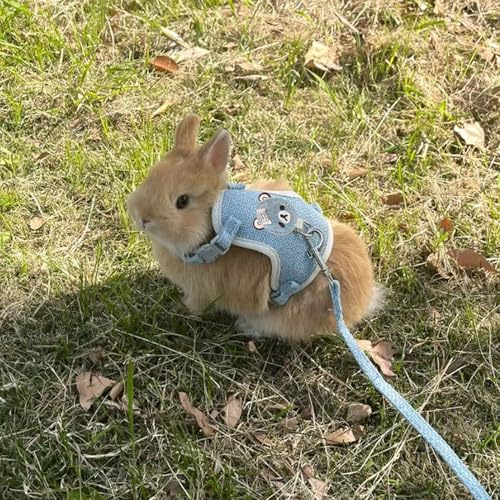 Image of 2-Pack Rabbit Harness and Leash Set - Adjustable Small Animal Vest Harness with Safety Buckle - Breathable & Lightweight - Ideal for Rabbits, Ferrets, Guinea Pigs, and Cats (Blue)