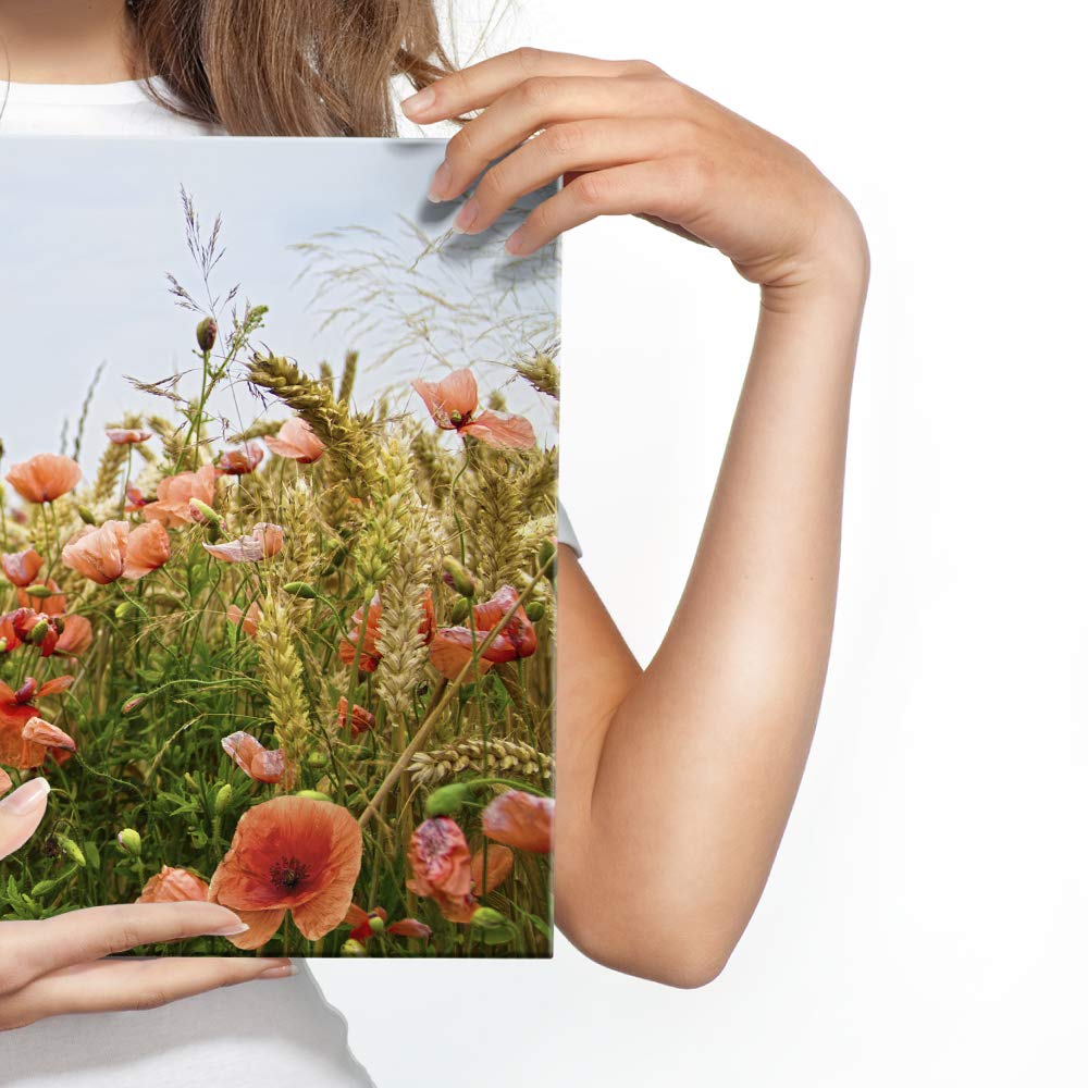 Muralo Wandbild Blumen, Mohnblumen, Wiese, Natur, Landschaft - 90x60 cm | Leinwandbild, Modernes Design, hochauflösender Druck - ideal für Schlafzimmer und Wohnzimmer, Frühlingsflair das ganze Jahr
