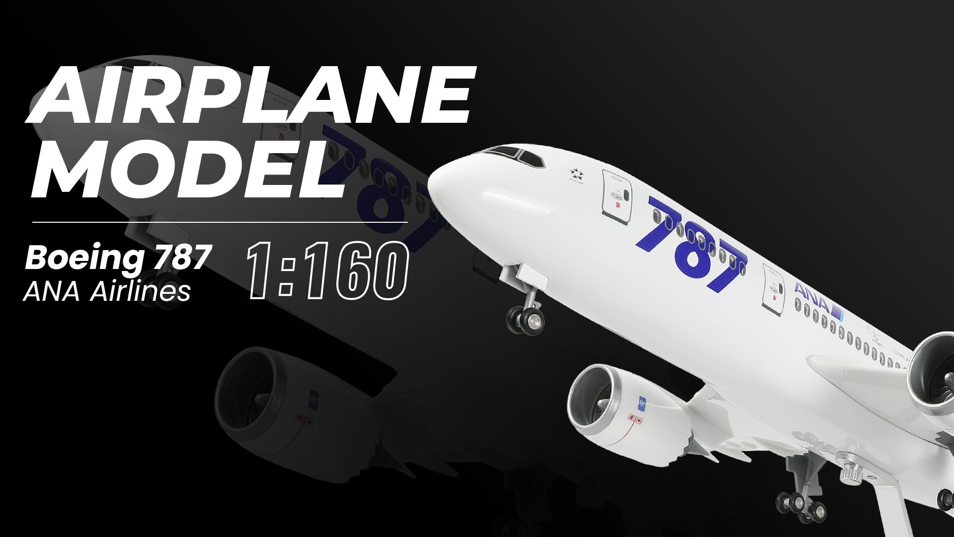 Amazon.com: QIYUMOKE Japan ANA 1/160 787 Large Scale Model