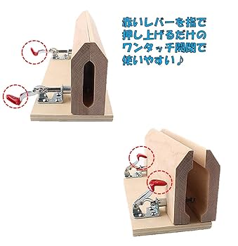 Amazon.co.jp: レーシングポニー 木製 卓上 コンパクト 小型