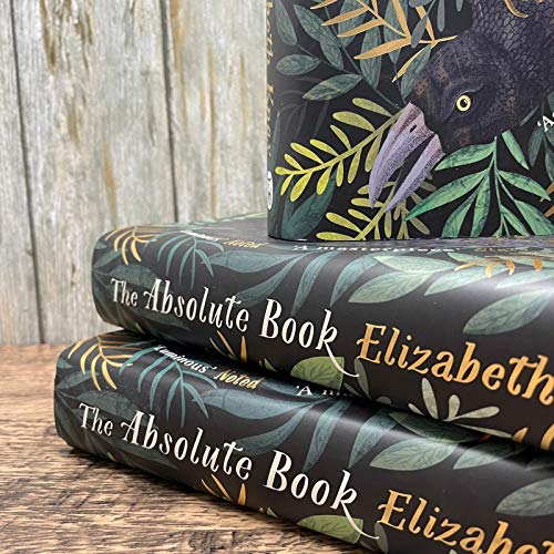 The Absolute Book: 'An INSTANT CLASSIC, to rank [with] masterpieces of fantasy such as HIS DARK MAT