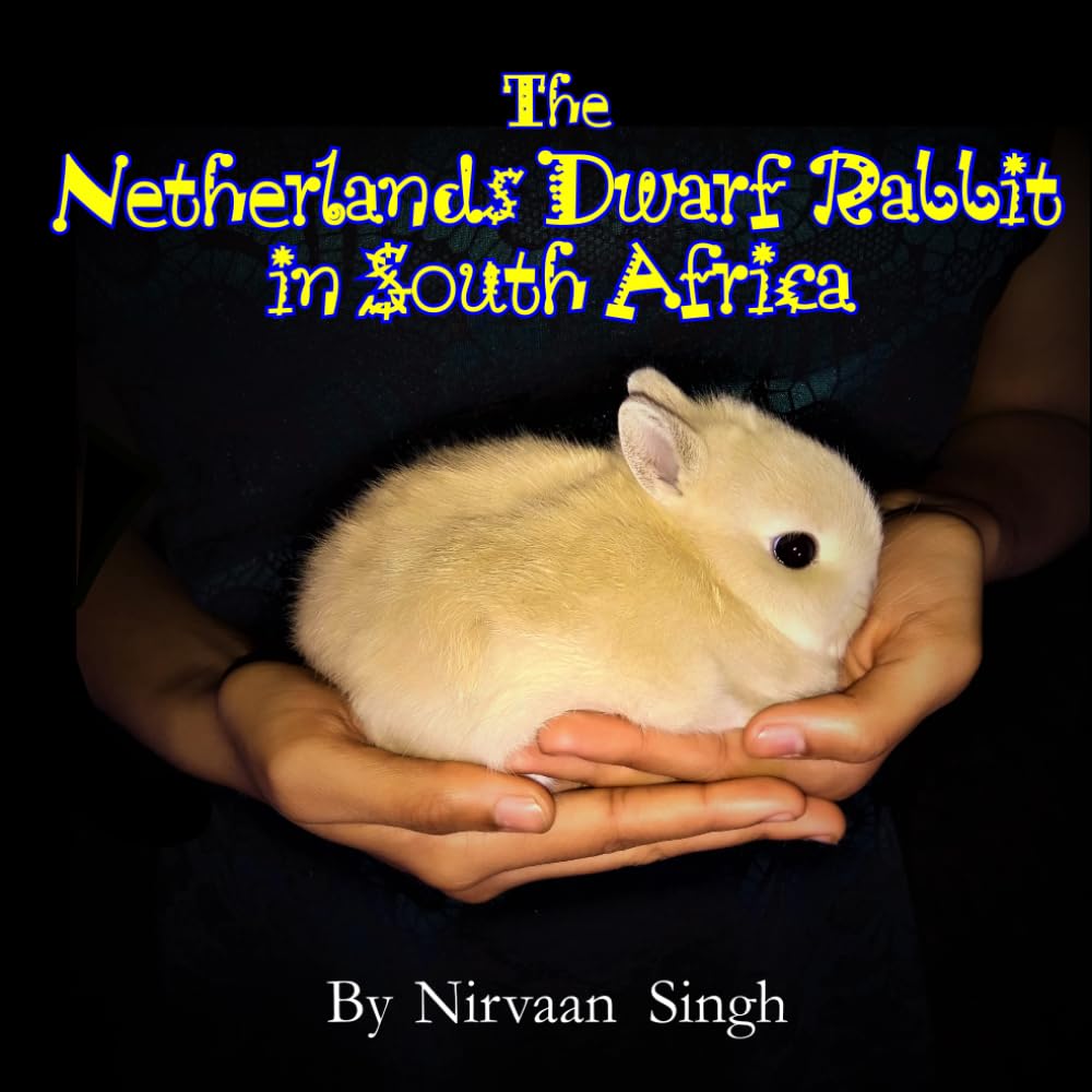 The Netherlands Dwarf Rabbit in South Africa