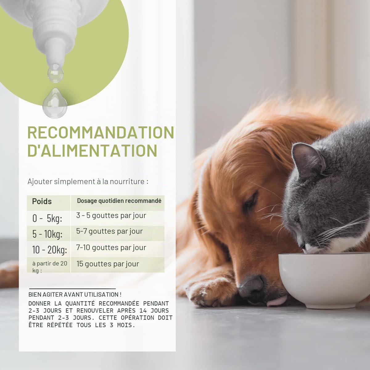 ReaVET Wurm-Kraut Liquid 100ml – pour Chiens & Chats, avec de la véritable Absinthe (Artemisia Absinthium) dans une formule à base de plantes, adaptée à tous les animaux de compagnie