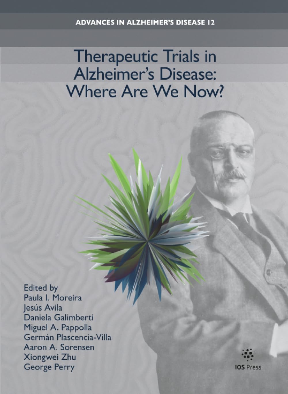 Therapeutic Trials in Alzheimer’s Disease: Where Are We Now? (Advances in Alzheimer's Disease, 12)