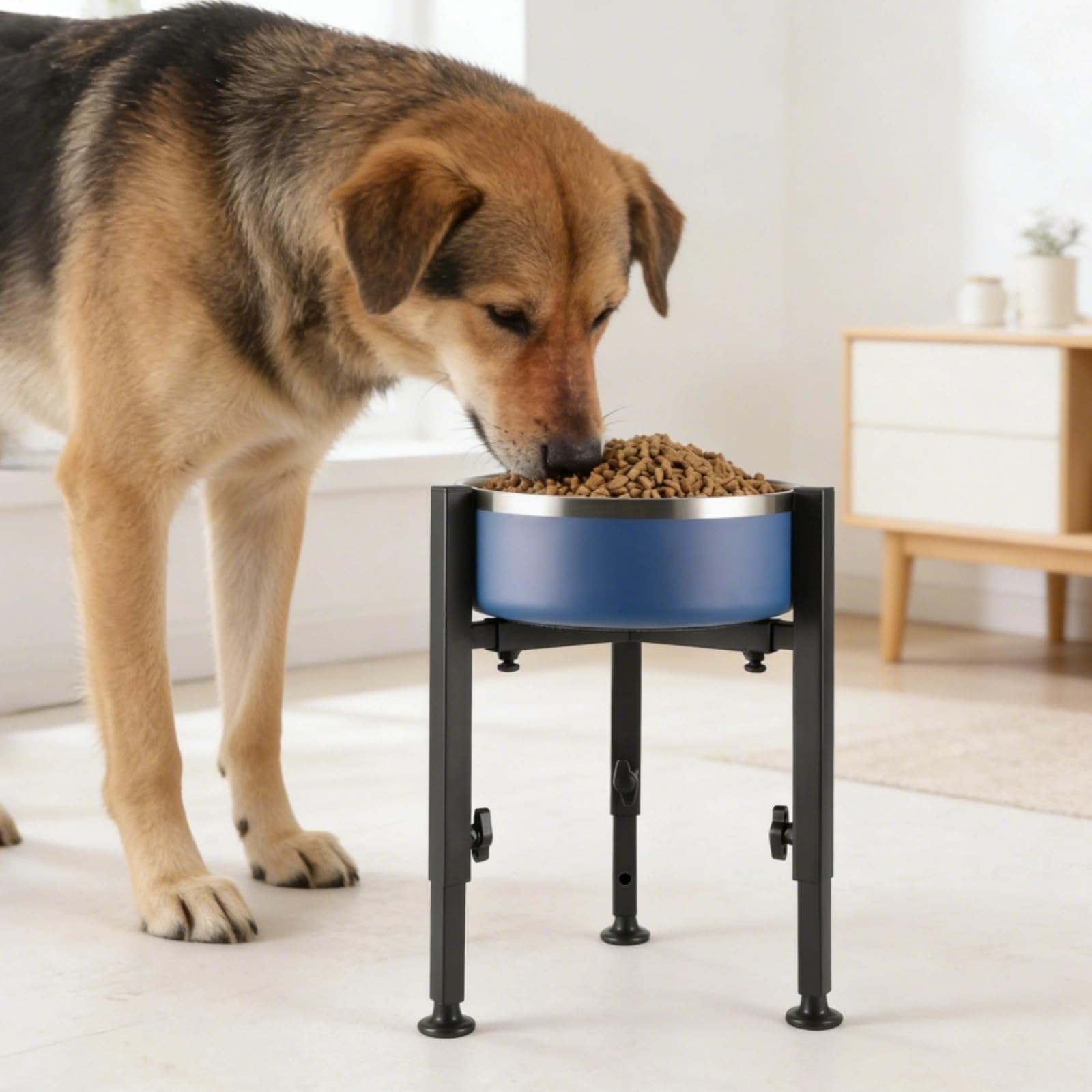 Iron Art Support surélevé pour chien avec gamelle en acier inoxydable, hauteur réglable de 22,9 à 38,1 cm et largeur de 17,8 à 27,9 cm, mangeoire à eau surélevée pour chiens de petite, moyenne et