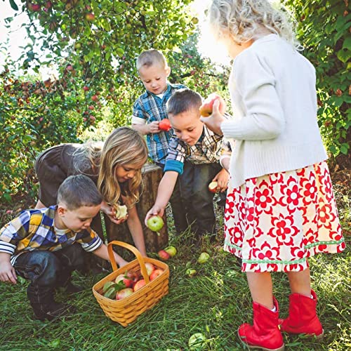 White House Foods White House Organic Apple Cider Vinegar Shots thumb #5