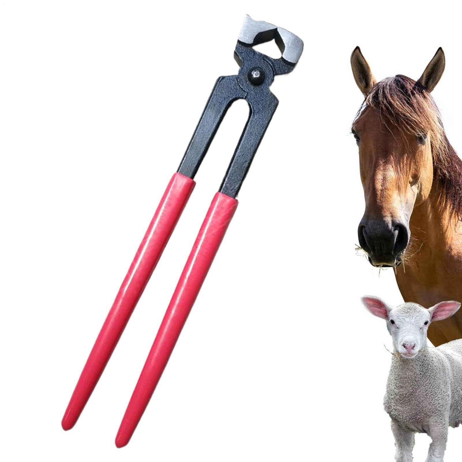 Tenaglie Da Zoccolo Per Pinze da Maniscalco Resistente | Cesoe per Unghie Ovini per Manutenzione Stalla e Allevamento