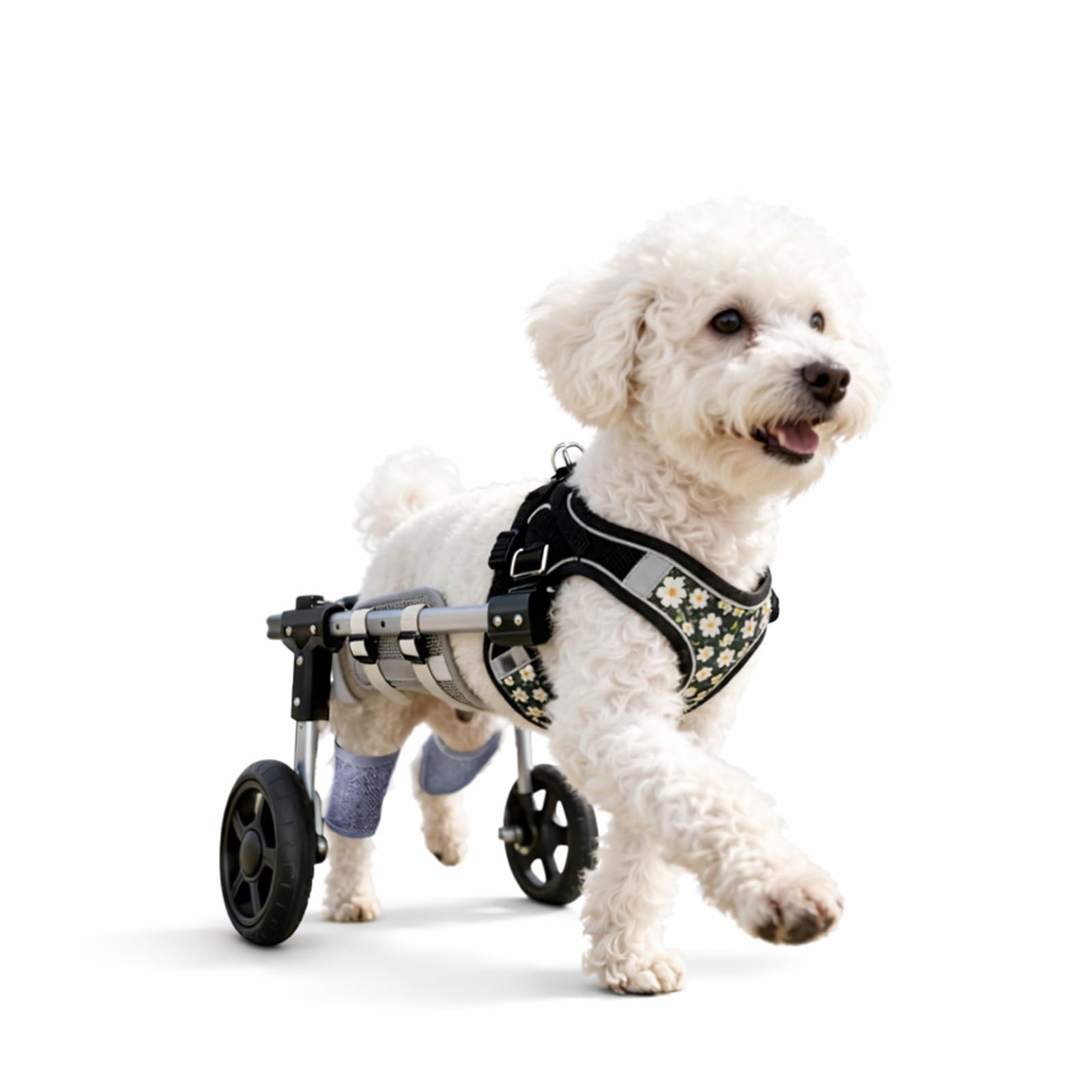 CASOME Adjustable 4-Wheel Dog Wheelchair For Front & Hind Legs – Lightweight Mobility Aid For Elderly Dogs – EVA Wheels For Comfortable Mobility & Easy Adaptation – Fits Small Breeds(Black2wheel,L)