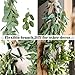 Wofair 5 Feet Eucalyptus Garland Greenery, Artificial Eucalyptus Garland Wedding Decor, Faux Seeded Eucalyptus Garland with Long Oval Leaves, Fake Eucalyptus Vine for Home Office Decoration