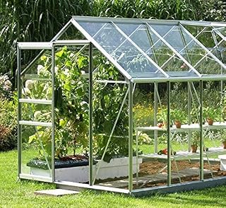 Holland Plastics Original Barnd 4 X POLYCARBONATE GREENHOUSE PANES/GLAZING SHEETS- 2mm thick x 608 x 608mm- IMPACT RESISTANT (greenhouse for illustration puposes only)