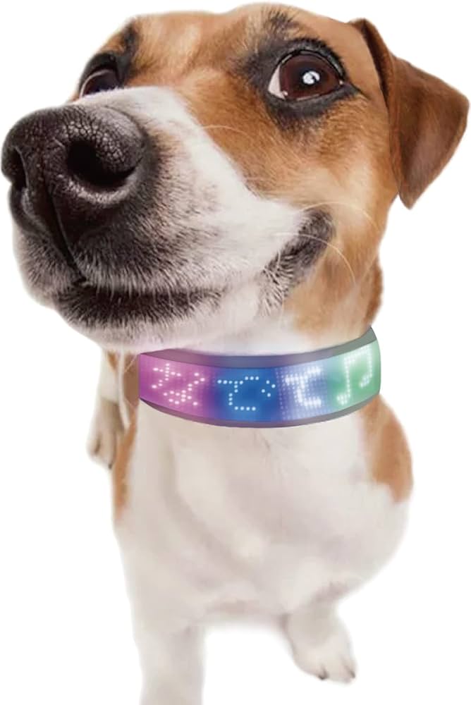 Amazon.co.jp: Sparkly Display Dog Collar/スパークリー ディスプレイ