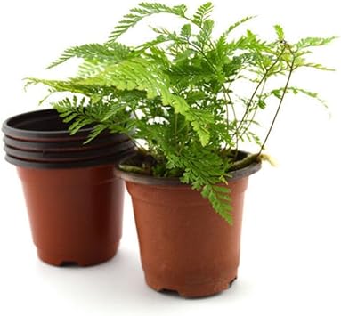 10Pcs Small Plastic Round Flower Pot Nursery Planter for Home Garden Plant Supplies