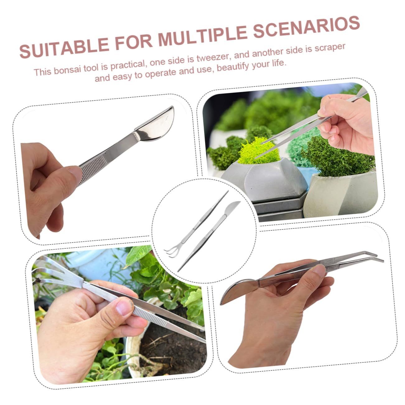 Mipcase 6pezzi Pinzette Per Bonsai Acciaio Inossidabile Utensili Compatti Per Giardinaggio e Delle Piante Succulente Per Rimozione Foglie Secche e Applicazione Di Muschio