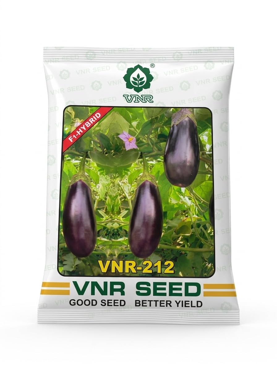 212 F1 Hybrid Brinjal Seeds 10g | F1 Hybrid Variety, Better Yield, Purple Brinjal, 212 Model, Vegetable Seeds-image-38