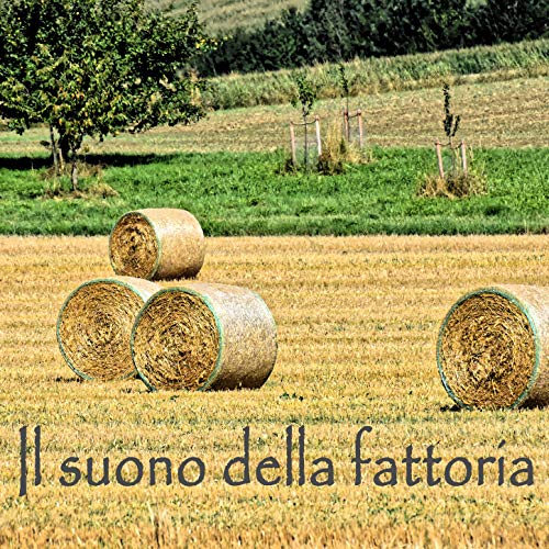  Tortora in amore