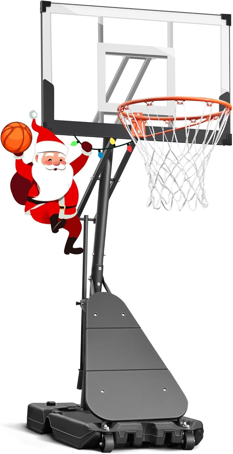 Seray Basketball Hoop Outdoor 40Inch Backboard