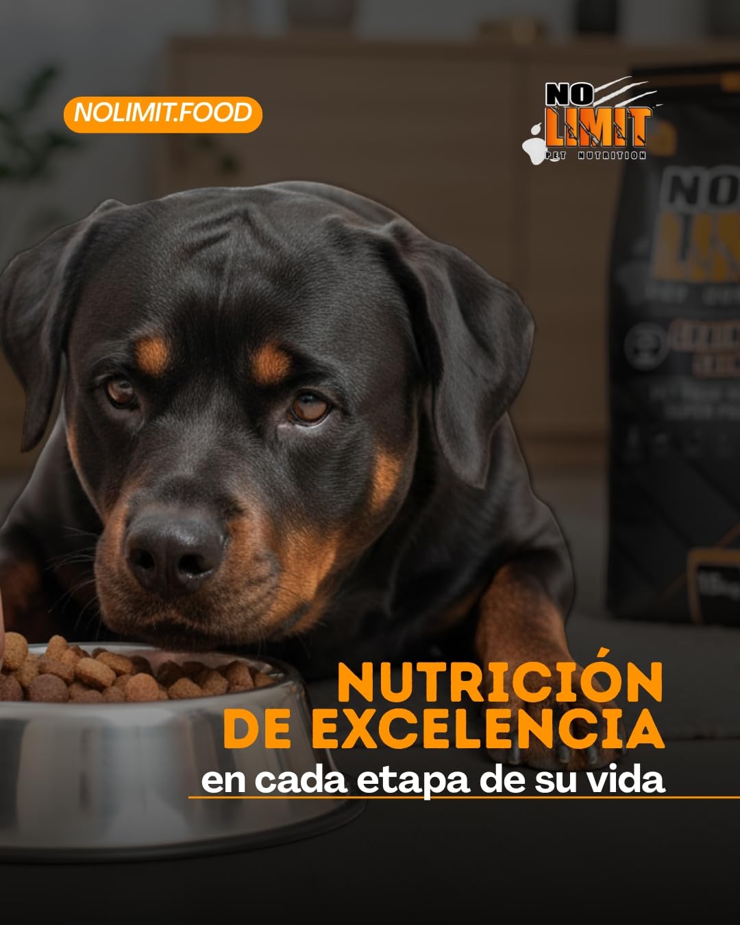 NO Limit Daily Pro Pienso para Perros 15kg – Alimentación Diaria con Buey y Pollo – Comida Natural para Perros Adultos Alta en Proteínas – Dog Food Premium para Digestión y Salud Articular