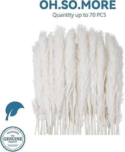 Miniatura 2 de XYHZLL Pampa Grass - Florero pequeño esponjoso, 70 piezas de flores secas de hierba pomposa, flores de pompas para decoración bohemia, rústico,